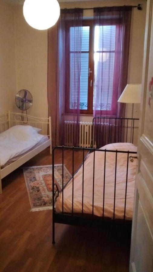 Le Grand Charpentier Apartment Mulhouse Ngoại thất bức ảnh