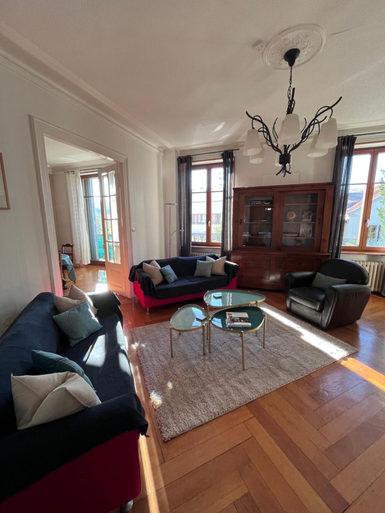 Le Grand Charpentier Apartment Mulhouse Ngoại thất bức ảnh