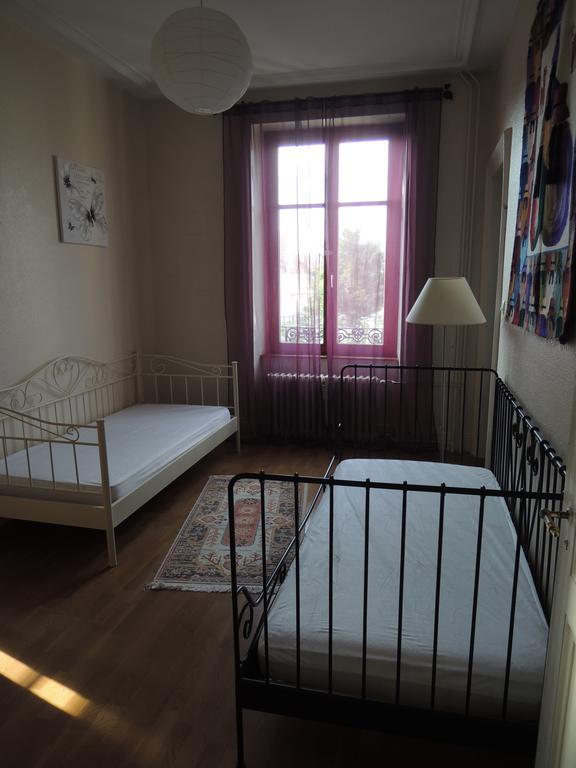 Le Grand Charpentier Apartment Mulhouse Ngoại thất bức ảnh